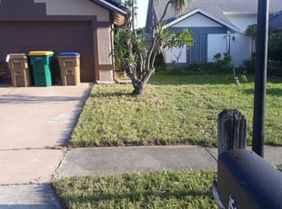 Albuquerque Nm Lawn Care Service Lawn Mowing From 19 Rated Best 2020