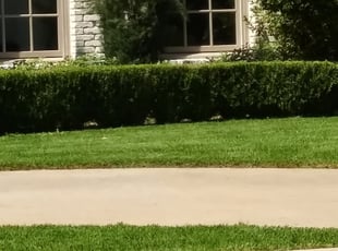 1 Algonquin Il Lawn Care Service Lawn Mowing From 19 Best 2020