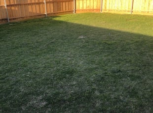 Allen Tx Lawn Care Service Lawn Mowing From 19 Rated Best 2020