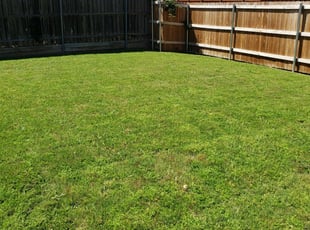 Allen Tx Lawn Care Service Lawn Mowing From 19 Rated Best 2020