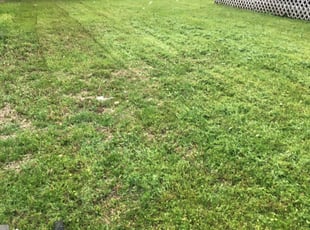 Allentown Pa Lawn Care Service Lawn Mowing From 19 Rated Best 2020