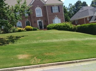 1 Alpharetta Ga Lawn Care Service Lawn Mowing From 19 Best 2020