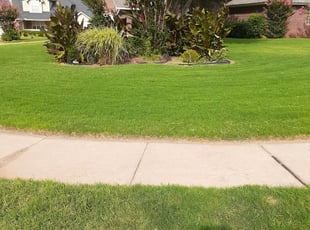 1 Alpharetta Ga Lawn Care Service Lawn Mowing From 19 Best 2020