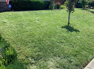 1 Amelia Court House Va Lawn Care Service Lawn Mowing From 19 Best 2020