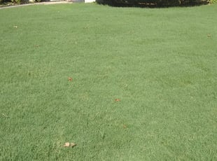 1 Pickerington Oh Lawn Care Service Lawn Mowing From 19 Best 2020
