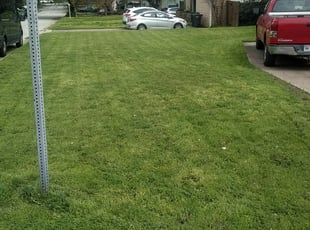 Annandale Va Lawn Care Service Lawn Mowing From 19 Rated Best 2020