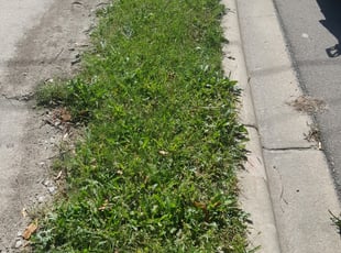 1 Antioch Tn Lawn Care Service Lawn Mowing From 19 Best 2020