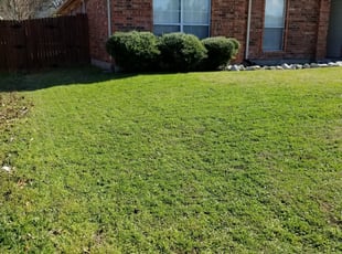 1 Apex Nc Lawn Care Service Lawn Mowing From 19 Best 2020
