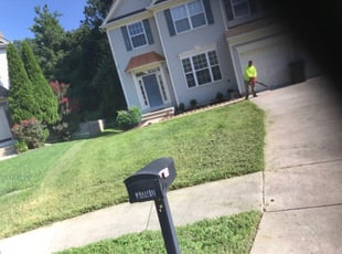 1 Apex Nc Lawn Care Service Lawn Mowing From 19 Best 2020