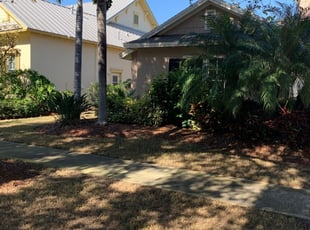Tree removal faq, Apollo Beach FL