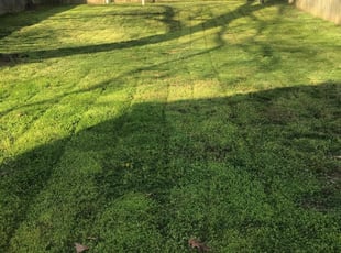 1 Apollo Beach Fl Lawn Care Service Lawn Mowing From 19 Best 2020