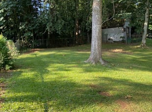 1 Arlington Heights Il Lawn Care Service Lawn Mowing From 19 Best 2020
