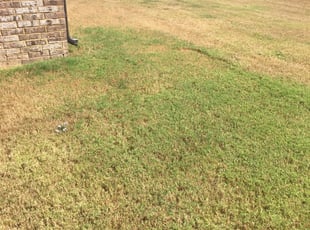 Arlington Tn Lawn Care Service Lawn Mowing From 19 Rated Best 2020