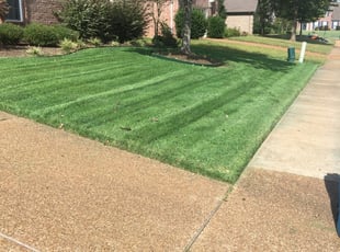 Arlington Tn Lawn Care Service Lawn Mowing From 19 Rated Best 2020