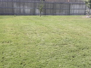 Arlington Tx Landscaping From 29 1 Landscapers Best Of 2020