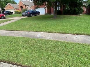 Arlington Tx Lawn Care Service Lawn Mowing From 19 Rated Best 2020