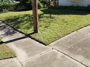 Arlington Wa Landscaping From 29 1 Landscapers Best Of 2020