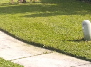 1 Arnold Mo Lawn Care Service Lawn Mowing From 19 Best 2020