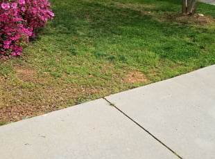 14 Best Lawn Care Services in Asheboro, NC 2020 | Lawn Mowing