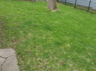 Asheville Nc Landscaping From 29 1 Landscapers Best Of 2020