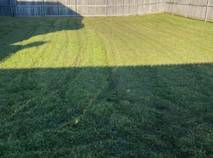 Ashland City Tn Lawn Care Service Lawn Mowing From 19 Rated Best 2020