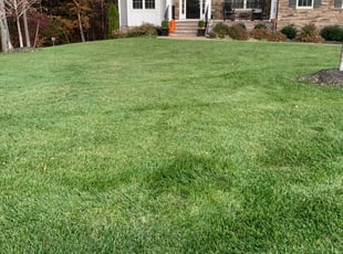 Ashland Va Lawn Care Service Lawn Mowing From 19 Rated Best 2020