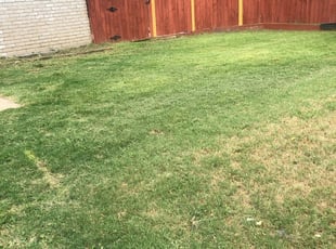 Atascosa Tx Lawn Care Service Lawn Mowing From 19 Rated Best 2020