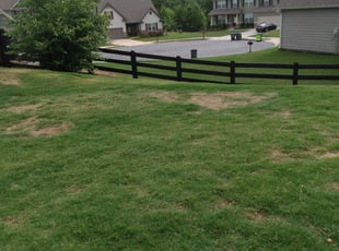 1 Atlanta Ga Lawn Care Service Lawn Mowing From 19 Best 2020