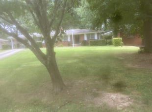 1 Atlanta Ga Lawn Care Service Lawn Mowing From 19 Best 2020
