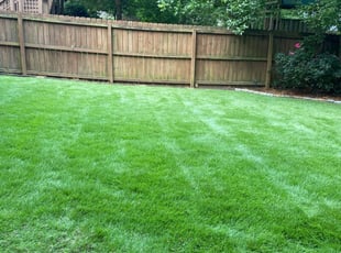 1 Atlanta Ga Lawn Care Service Lawn Mowing From 19 Best 2020