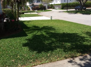 1 Atlantic Beach Fl Lawn Care Service Lawn Mowing From 19 Best 2020
