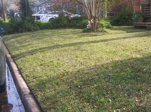 1 Attleboro Ma Lawn Care Service Lawn Mowing From 19 Best 2020