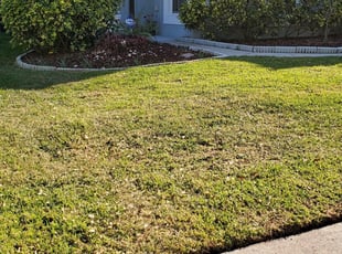 1 Augusta Ga Lawn Care Service Lawn Mowing From 19 Best 2020