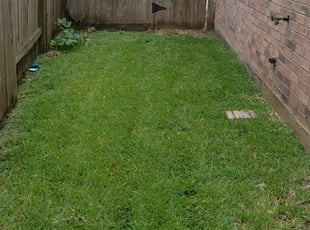 1 Aurora Oh Lawn Care Service Lawn Mowing From 19 Best 2020