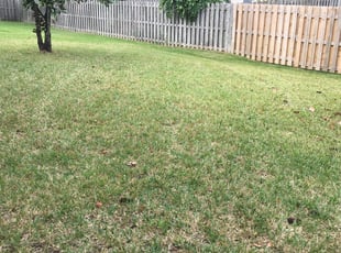 1 Avon In Lawn Care Service Lawn Mowing From 19 Best 2020