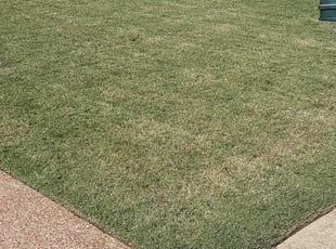 1 Bakersfield Ca Lawn Care Service Mowing From 19 Best 2020 - David Gardening Services Bakersfield Ca 1 Bakersfield Ca Lawn Care Service Mowing From 19 Best 2020 - David Gardening Services Bakersfield Ca
