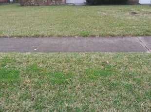 1 Bakersfield Ca Lawn Care Service Mowing From 19 Best 2020 - David Gardening Services Bakersfield Ca 1 Bakersfield Ca Lawn Care Service Mowing From 19 Best 2020 - David Gardening Services Bakersfield Ca