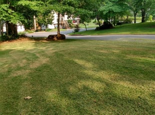 1 Bakersfield Ca Lawn Care Service Mowing From 19 Best 2020 - Best Gardening Services Bakersfield Ca 1 Bakersfield Ca Lawn Care Service Mowing From 19 Best 2020 - Best Gardening Services Bakersfield Ca