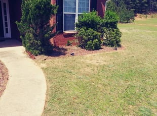 1 Baltimore Md Lawn Care Service Lawn Mowing From 19 Best 2020