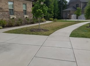1 Baltimore Md Lawn Care Service Lawn Mowing From 19 Best 2020