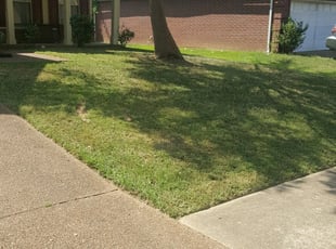 1 Baltimore Md Lawn Care Service Lawn Mowing From 19 Best 2020