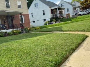 1 Baltimore Md Lawn Care Service Lawn Mowing From 19 Best 2020