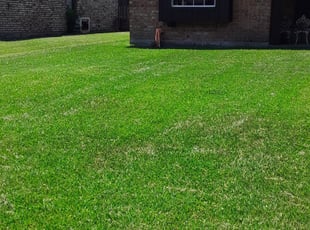 Baytown Tx Lawn Care Service Lawn Mowing From 19 Rated Best 2020