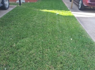 Beaumont Ca Lawn Care Service Lawn Mowing From 19 Rated Best 2020