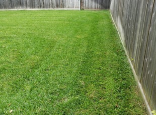 Beaumont Tx Lawn Care Service Lawn Mowing From 19 Rated Best 2020