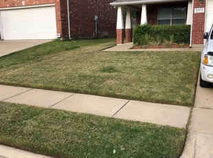 1 Bedford Tx Lawn Care Service Lawn Mowing From 19 Best 2020