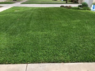 Bellaire Tx Lawn Care Service Lawn Mowing From 19 Rated Best 2020