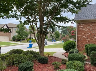 Get Lawn Care Services In Houston From Earth Shield Landsca