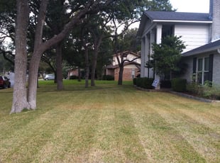 1 Belleville Il Lawn Care Service Lawn Mowing From 19 Best 2020