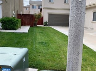 1 Belleville Il Lawn Care Service Lawn Mowing From 19 Best 2020